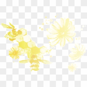 Chrysanths, HD Png Download - chamomile png