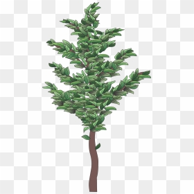 Christmas Tree, HD Png Download - bush plant png