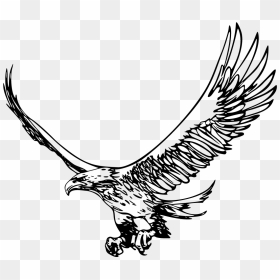 Transparent Soaring Eagle Png - Silva Valley Elementary School, Png Download - eagle flying png