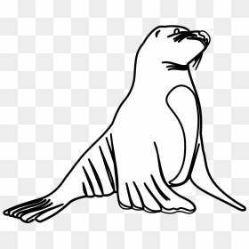 Sea Lion Clip Art Free - Sea Lion Black And White Clipart, HD Png Download - sea lion png