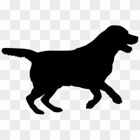 Labrador Retriever Puppy Silhouette Dog Breed Cat - Labrador Retriever Silhouette Png, Transparent Png - labrador png