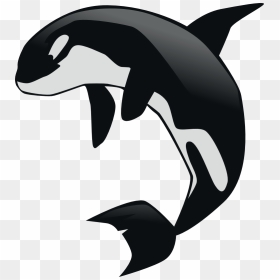 Gnustep Orca Contrasts - Killer Whale Clipart Transparent Background, HD Png Download - killer whale png