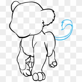 How To Draw Baby Lion - Baby Lion Drawing, HD Png Download - baby lion png