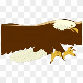 Cartoon Eagle Flying Free Download Clip Art - Soaring Eagle Clip Art, HD Png Download - eagle flying png
