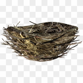 Bird Nest Transparent Background, HD Png Download - bird nest png