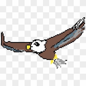 Transparent Eagle Flying Png, Png Download - eagle flying png