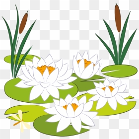 Lily Pad Clipart, HD Png Download - lilly pad png