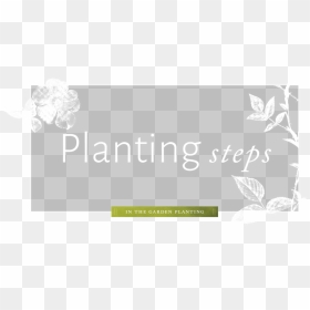 Planting - Portable Network Graphics, HD Png Download - bush plant png