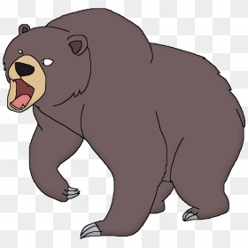 Wildlife Animal Pedia Wiki - Cartoon, HD Png Download - brown bear png