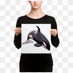 Transparent Killer Whale Png - Acuarela Cuadros Flor De Loto, Png Download - killer whale png