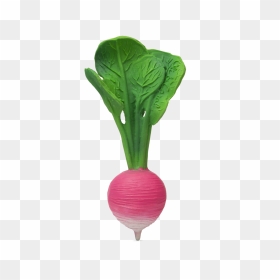 Infant Teething Toy - Oli Carol Radijs, HD Png Download - turnip png