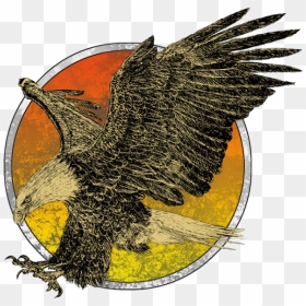 Eagle , Png Download - Drawn Bald Eagle, Transparent Png - eagle flying png