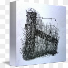 Branch Drawing Art, HD Png Download - farm fence png