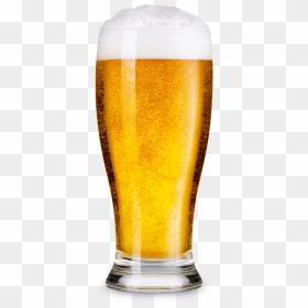 Tall Beer Glass, HD Png Download - pint of beer png