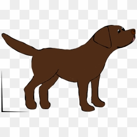 Marley The Chocolate Labrador - Chocolate Lab Clipart, HD Png Download - labrador png