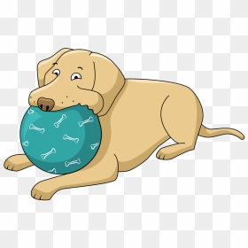 Labrador With A Ball Clipart - Dog With Ball Clipart, HD Png Download - labrador png