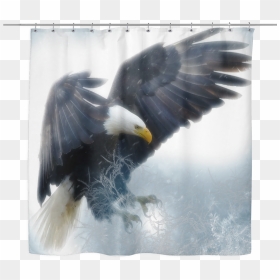 Transparent Bald Eagle Flying Png - 7 Grandfather Teachings Eagle, Png Download - eagle flying png