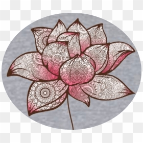 Transparent Lilly Pad Png - Clematis, Png Download - lilly pad png
