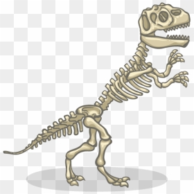 Item Detail Itembrowser - Skeleton Of A Dinosaur, HD Png Download - dinosaur bones png