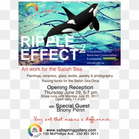 Art Work For The Salish Sea - Killer Whale, HD Png Download - killer whale png
