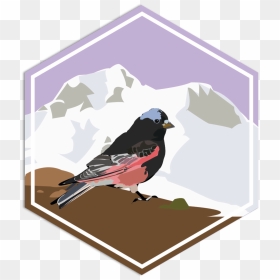 Blrfpin - Trustradius Top Rated, HD Png Download - bird nest png