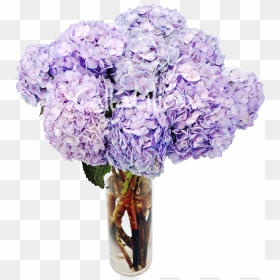 Tinted Hydrangeas Wedding Flowers - Hydrangea Bouquet Png, Transparent Png - flowers in vase png
