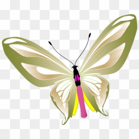 10 Temmuz 2018, - Butterflies, HD Png Download - butterfly png clipart