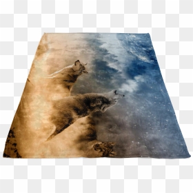 Transparent Throw Blanket Png - Punxsutawney Phil, Png Download - sea lion png