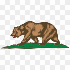 California Grizzly Bear Drawing, HD Png Download - brown bear png