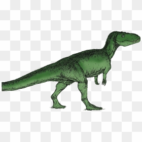 Torvoaurus - Dinosaurs Green, HD Png Download - dinosaur bones png