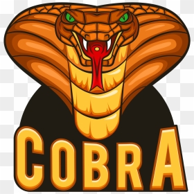 Cobra Logo Zonder Slogan Rgb Small - Cabana Pool Bar, HD Png Download - cobra logo png