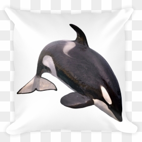 Transparent Killer Whale Png - Whales Meaning In Hindi, Png Download - killer whale png