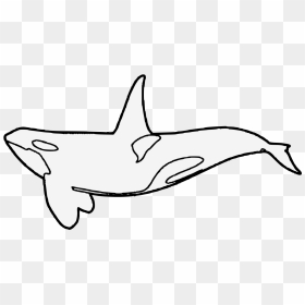 Heraldic Killer Whale, HD Png Download - killer whale png