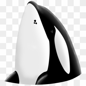 Killer Whale Keiko Png , Png Download - Keiko La Orca Png, Transparent Png - killer whale png