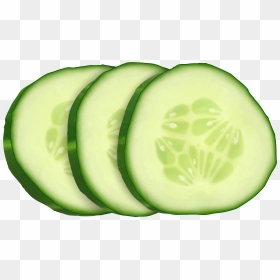 Vector Freeuse Cucumber Slice Clipart - Clipart Of Cucumber Slices With Transparent Background, HD Png Download - cucumber slice png