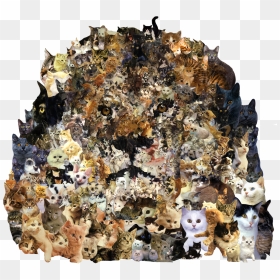 Funny Cat Picture Collage , Png Download - Jigsaw Puzzle, Transparent Png - funny cat png