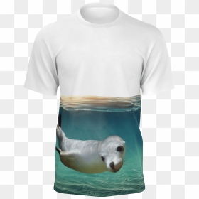 Sea Lion Shirt - California Sea Lion, HD Png Download - sea lion png