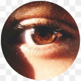Tumblr Aesthetic Brown Eye Browneye - Brown Eyes Aesthetic, HD Png Download - brown eyes png