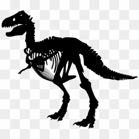 Free Image Dinosaur Bones, HD Png Download - dinosaur bones png