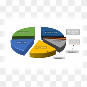 Be Enough To Show That The Sea Lions Are Not Posing - Pivot Chart Png, Transparent Png - sea lion png