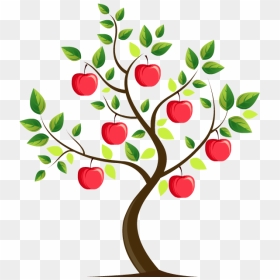 Mouse Over The "fruit - Berry, HD Png Download - tree from above png