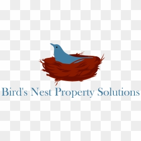Association Trends, HD Png Download - bird nest png