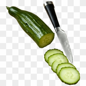 Cucumber-slices - خيار مقطع, HD Png Download - cucumber slice png