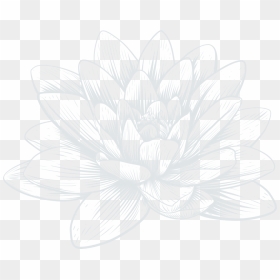 Sacred Lotus, HD Png Download - lilly pad png
