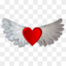 Realistic Angel Wings Png, Transparent Png - gold hearts png