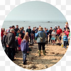 Beach, HD Png Download - dinosaur bones png