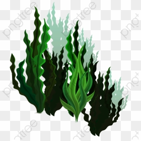 Green Kelp Marine Life, Green Vector, Green, Seabed - Kelp Transparent, HD Png Download - kelp png