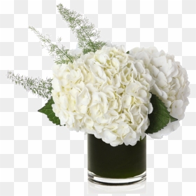 Hydrangeas White Vase, HD Png Download - flowers in vase png