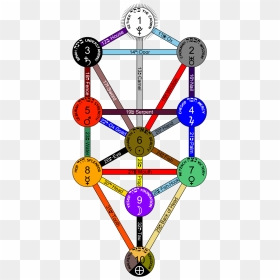Above Picture Has Tree Of Life And Its Overall Connections - Tree Of Life Major Arcana, HD Png Download - tree from above png