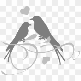 Lovebird Wedding Invitation Clip Art - Wedding Love Birds Silhouette, HD Png Download - love birds png